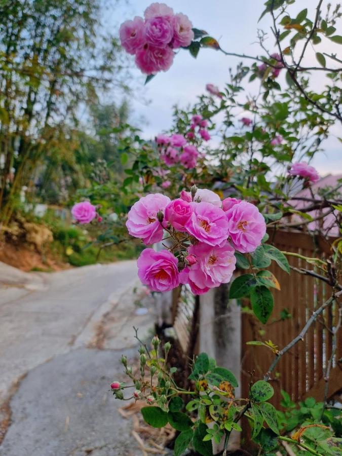 Bong Sen Hotel Da Lat Dış mekan fotoğraf